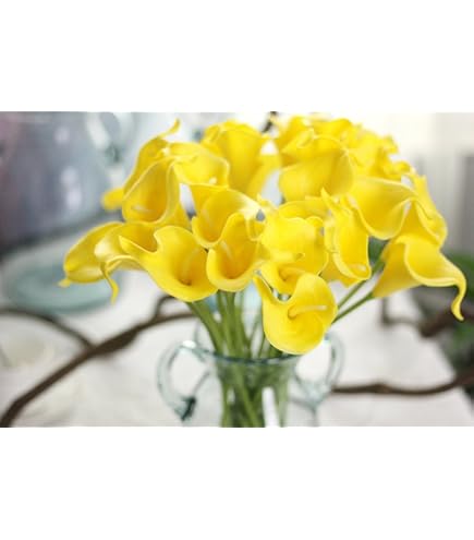 アートフラワー 造花 カラー インテリア オランダカイウ INDOORPLUS公式 |造花 オランダカイウ 潤い – Indoorplus