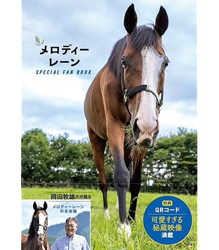 Amazon.co.jp: サラブレッドコレクション 馬服ぬいぐるみ