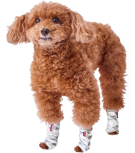 Amazon.co.jp: 犬用クロックス春夏レインブーツペット用品ゴールデン