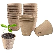 Amazon.co.jp: 育苗ポット 紙 20個セット 種まきポット 苗ポット 紙