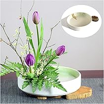 Amazon.co.jp: Flatland 生け花 花器 水盤 20cm 剣山 丸型 ゴム