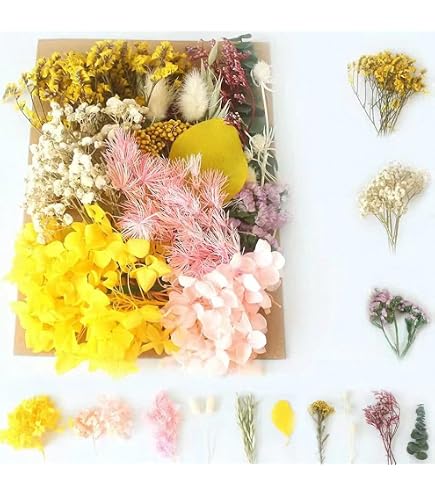 Amazon | ノーブランド品 ドライフラワー詰め合わせ 花材セット MIX