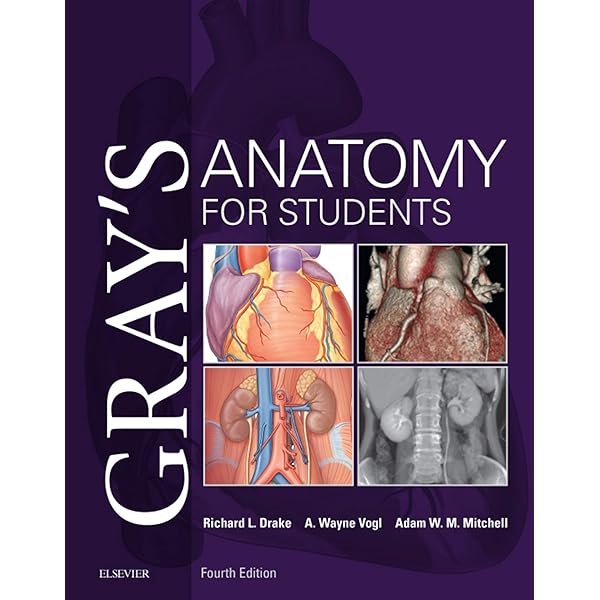 Amazon | Gray's Anatomy (English Edition) [Kindle edition