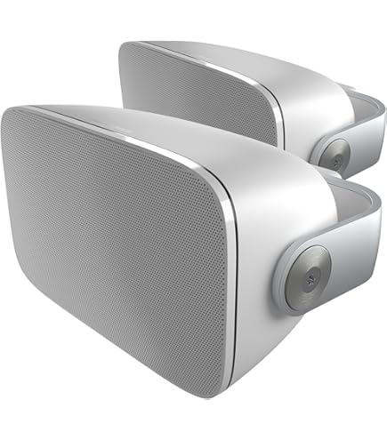 Amazon.co.jp: Bose Virtually Invisible 791 In-Ceiling Speaker II