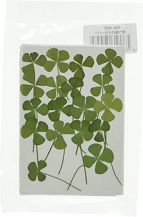 Amazon Co Jp フクサン 押し花パック 四つ葉のクローバー 18個入 Fuk 1075 ネイル レジンなどに最適 ホーム キッチン