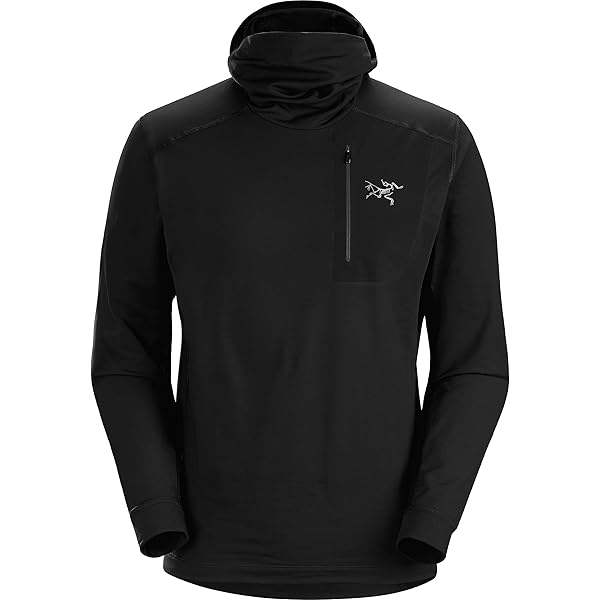 Amazon.co.jp: ARC'TERYX アークテリクス RHO LT HOODY MEN'S ロー LT