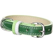 MASIMALO 本革 ワイド首輪 グリーン S MASIMALO 本革 ワイド首輪 グリーン S