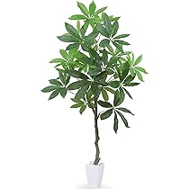 Amazon｜Heruiwin 人工観葉植物 フェイクグリーン 「パキラ 高さ