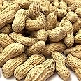 殻付き 素煎り ピーナッツ - 千葉県 国産 完全無添加。新豆です (250g)