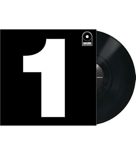 Amazon | Serato Control Vinyl (10
