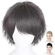 グレー ショートウィッグ 
人毛とアクリル
専用ケース付き クラシックシルバー】【コスプレウィッグ】ショートレイヤー改