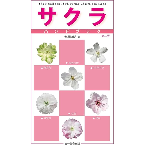 さくら図鑑 (求龍堂グラフィックス デッサンと作品シリーズ) | 中島