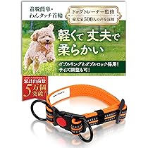 voyaju FOR lala 犬 首輪 リード ギフトBOX付き セレブ犬 楽天市場】【送料無料】 犬 首輪 猫 首輪 おしゃれ 鈴 定番