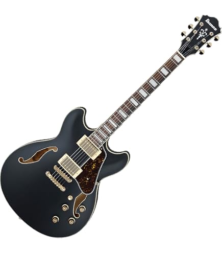 Amazon | Ibanez Artcore Series AF75G Hollowbody エレキギター