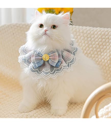 Amazon | ANNA SUI アナスイ 猫用 首輪 シュシュ リボン リボン付き