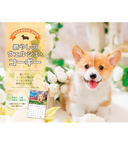 Amazon | アートプリントジャパン 2024年 コーギー川柳(週めくり