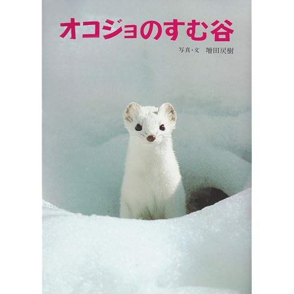 【中古】 オコジョの不思議/どうぶつ社/野紫木洋 オコジョの不思議(野紫木洋) / 株式会社 徒然舎 / 古本、中古本