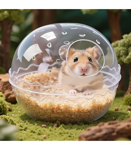 Amazon | ミニアニマン ハムリウム ハムスターの飼育セット ハムスター