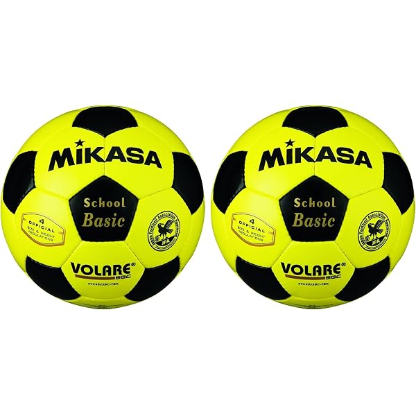 サッカー (ライバルに差をつけろ! 自主練習シリーズ) | 西田 勝彦 |本