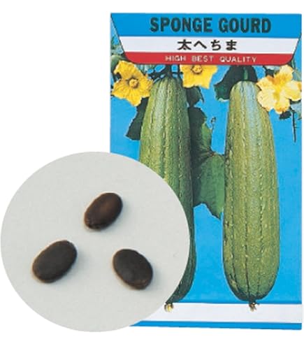 特大ひょうたん Amazon | サカタのタネ 実咲野菜0977 特大ひょうたん 天下一