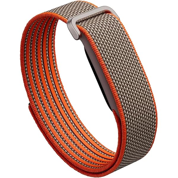 Amazon.co.jp: [JIAYJP] バンドfor 対応 Fitbit Air 用 バンド Fitbit 