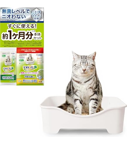 Amazon | 花王 ニャンとも清潔トイレ トイレセット キティオープン [猫