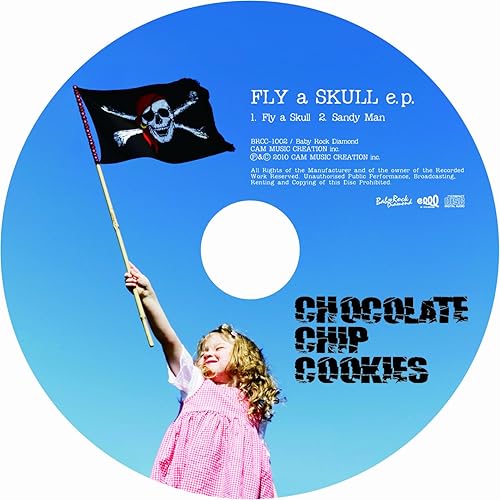 CHOCOLATE CHIP COOKIES / Fly a Skul