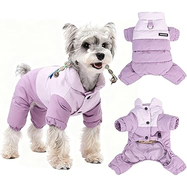 Amazon.co.jp 最新リリース: 犬用コート・ジャケット の新着ランキング
