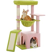 みどりの猫 タッパーウェア　 MMハーフワイド&スクエアセット（6個） 3足1,386円】アニマルボーダースニーカー用ソックス ( 031120280