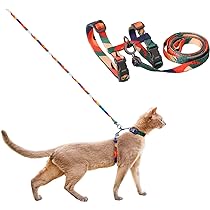 ハーネスリードセット 楽天市場】アウトレット 在庫処分 犬 ハーネスリードセット 超