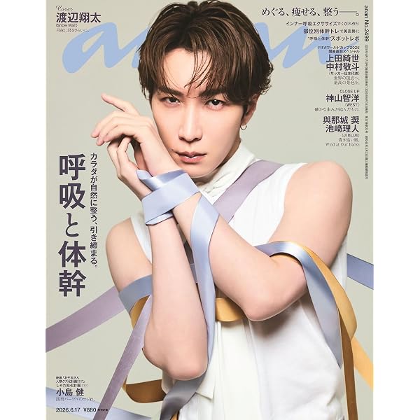 Amazon.co.jp: 簡単なお仕事です。に応募してみた [DVD] : 岩本照