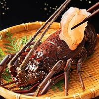 活〆伊勢海老　350/400 2尾　送料無料!! 楽天市場】活〆伊勢海老（冷凍加熱用）ギフトセット 2尾入 650g