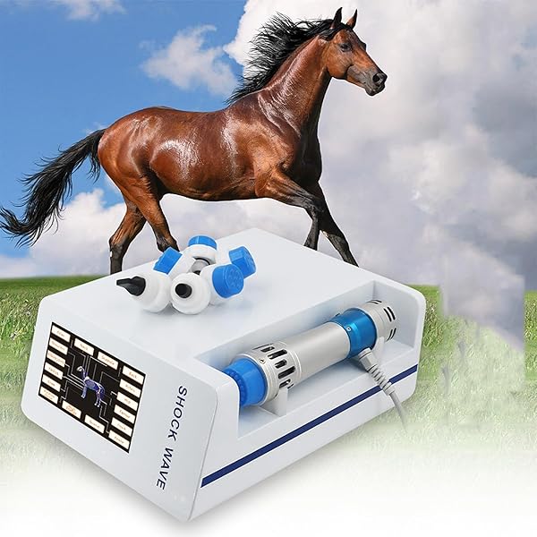 特別限定価格！家庭用ケア器　edcare 楽天市場】家庭用EDケア 【元気もりもり黒にんにく（九州・四