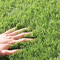 機構人工芝 ドリームターフ | 積水樹脂株式会社 人工芝