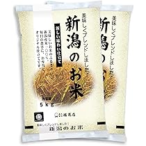 お米　里山のつぶ　10kg  精米　白米 長期保存向け 米 10kg 令和6年産 福島県産里山のつぶ 白米 10kg