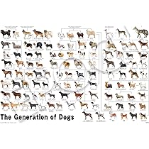 71hp2BeF7dL._AC_UL210_SR210,