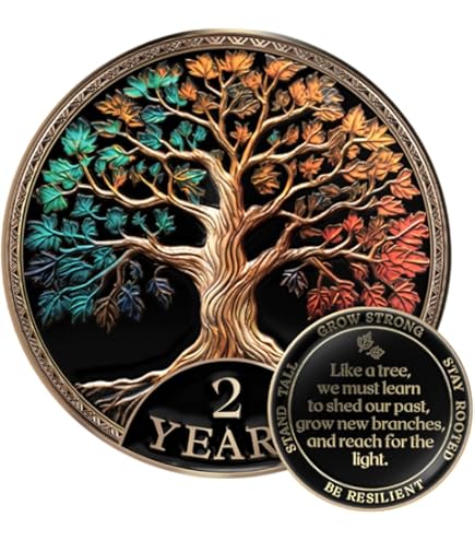 2 Years Sober Card - Inspirational Engraved Wallet Token For AA Sobriety Gifts (Men & Women)