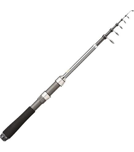 Amazon | ダイワ(DAIWA) 振り出しルアーロッド CROSSBEAT SW 666TUL