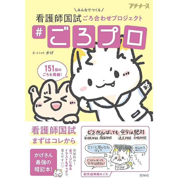 看護師国家試験のためのゴロあわせ集 かんごろ 第6版 | 医療情報