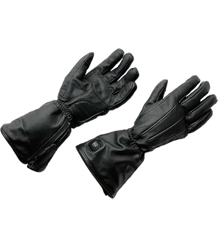 Amazon.co.jp: [ヒートマスター] HeatMaster 12V カーボンスポーツ