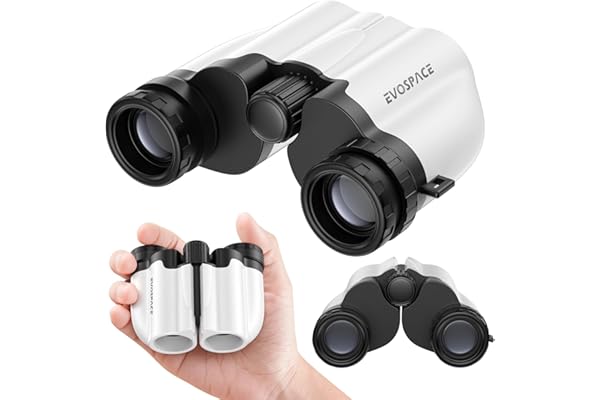 双眼鏡 ライブ用 20倍 オペラグラス 防振【BAK4光学レンズ&FMC多層コーティング】超軽量 コンパクト 近視対応 防水防塵 眼幅調整可能 バードウォッチング/スポーツ観戦用/コンサート用/野鳥観察/卒業コンサート 望遠鏡 日本語取扱説明書