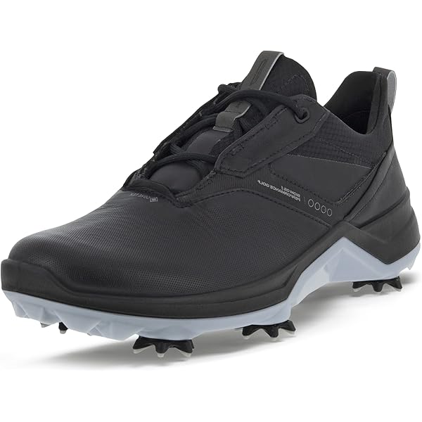 Amazon | [エコー] ゴルフシューズ GTX ゴルフ バイオム H4