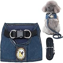 Amazon | Tengcong 犬ハーネス 猫ハーネス リード セット ペット用品