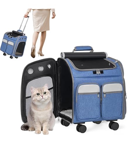Amazon.co.jp: CoConte cat リュックサックキャリー オレンジ : ペット用品