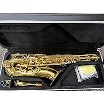 テノールサクソフォン ケース付き 付属品あり テナーサックス用ケース テナー 楽器 管楽器 TENOR SAX CASE