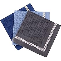 Amazon | [エコライドワールド] ハンカチ ギフト メンズ