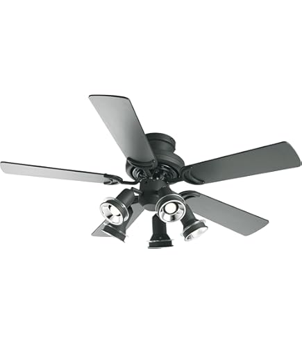 Amazon | オーデリック LEDシーリングファン(LED電球ミニクリプトン形  