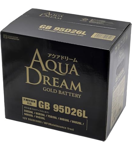 Amazon.co.jp: Delkor ( デルコア ) 充電制御車向け プラチナ