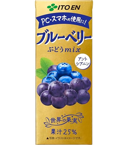 伊藤園 ザクロミックス エコパック 200ml×24本