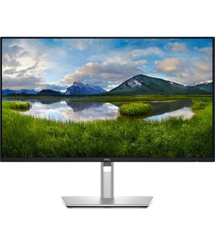 【Dell】24 USB-Cハブ モニター - P2425HE　新品！ デル・テクノロジーズ Dell 24インチUSB-Cハブ モニター-P2425HE